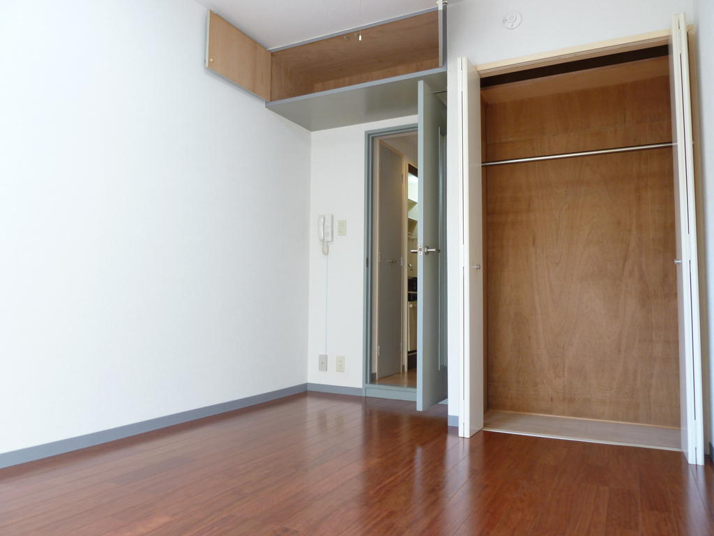 Other room space. Upper closet is a storage space that is up to. 