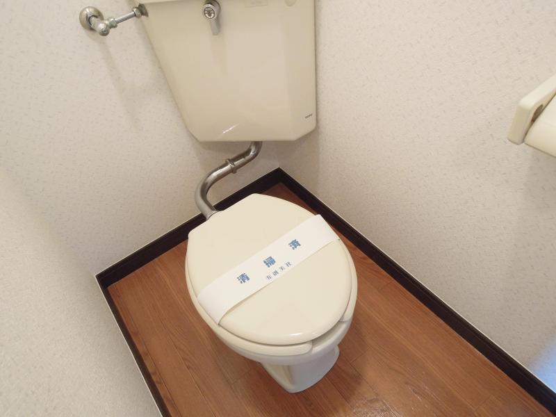 Toilet. It is a toilet with a clean.