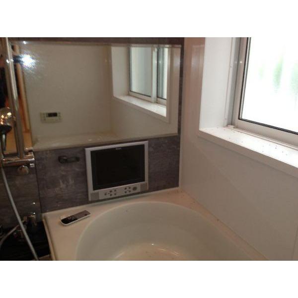 Other introspection. It comes with a TV in the bathroom