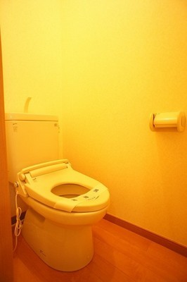 Toilet. Toilet is clean and comfortable is good. 