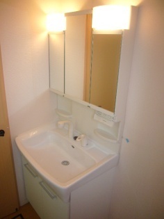 Washroom. Independent wash basin with a shampoo dresser