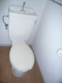 Toilet. Toilet with cleanliness