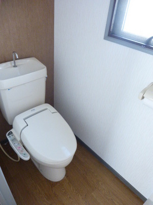 Toilet. Bidet function with toilet