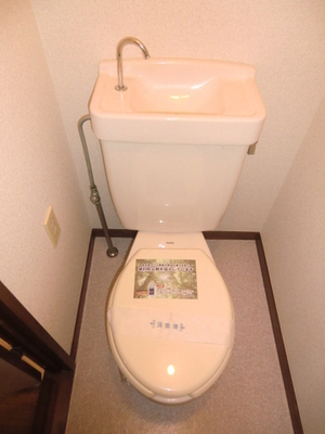 Toilet. Toilet