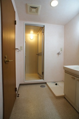 Washroom. Washroom (undressing space is also of the middle. Size)