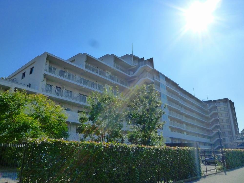 Local appearance photo. Local (11 May 2013) Shooting