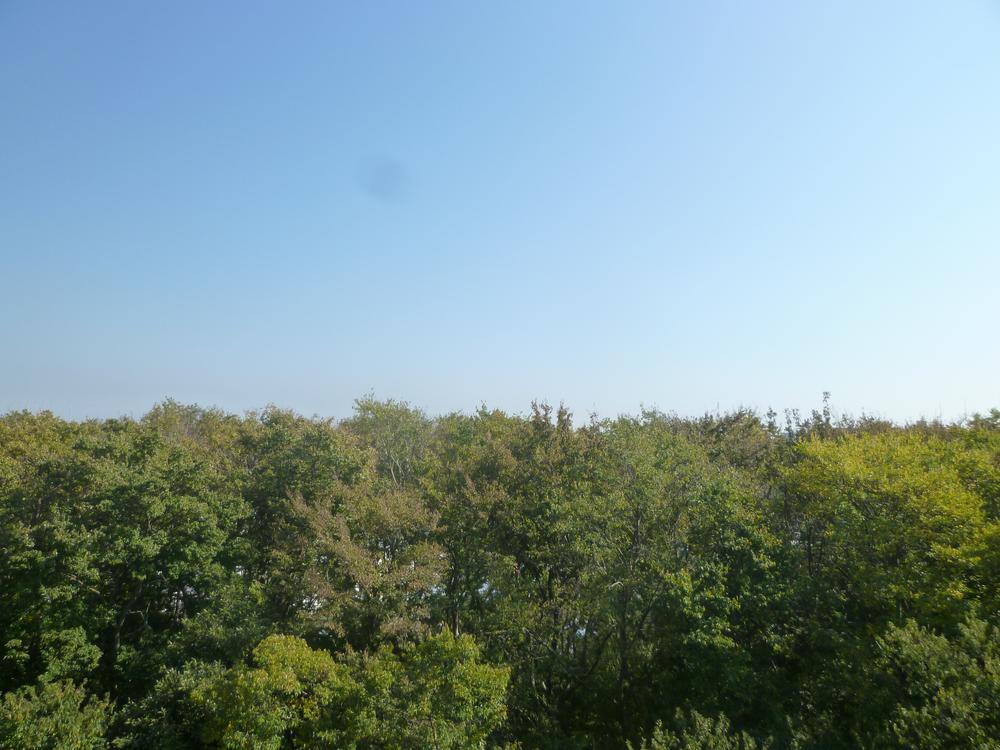 View photos from the dwelling unit. View from the site (November 2013) Shooting