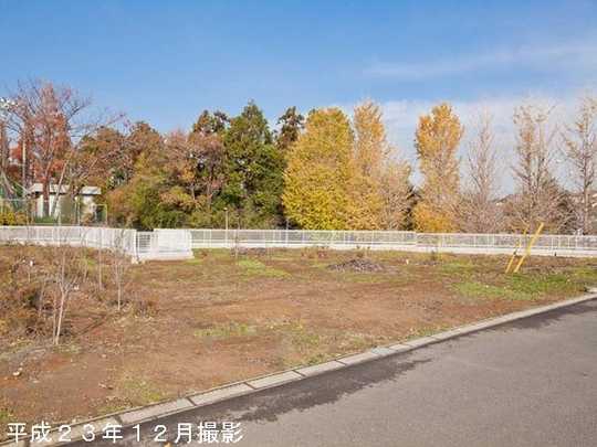 Local land photo