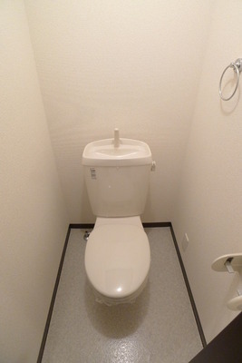 Toilet. Toilet