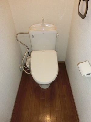 Toilet. Toilet