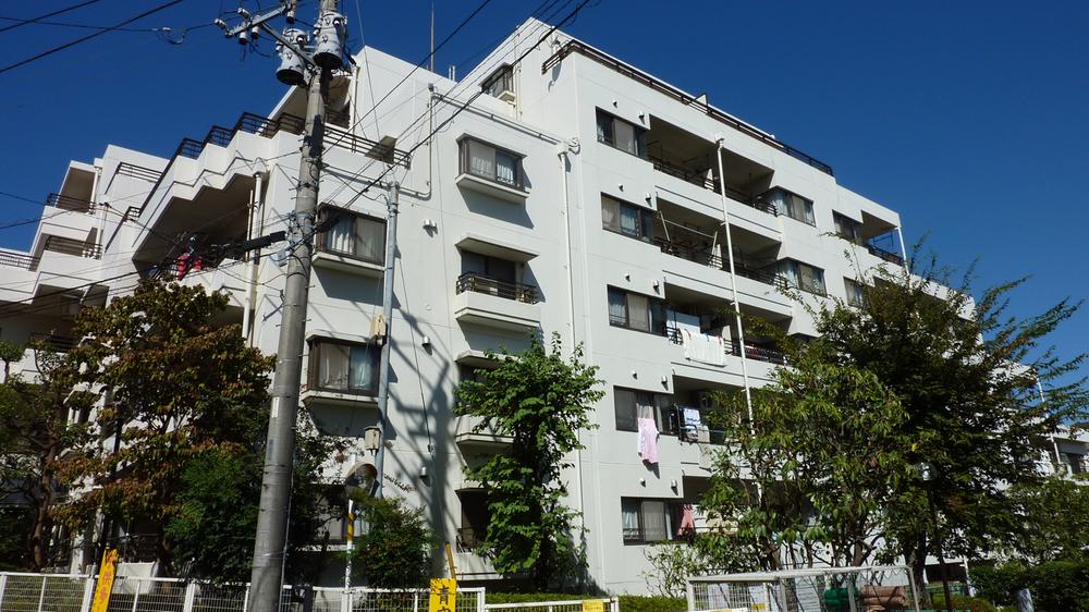 Local appearance photo. Local (September 2013) Shooting