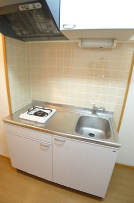 Kitchen. Kitchen (gas 1-neck)