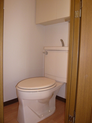 Toilet. Typical indoor photo Toilet with cleanliness