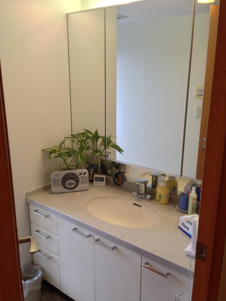 Wash basin, toilet. Local (August 2013) Shooting