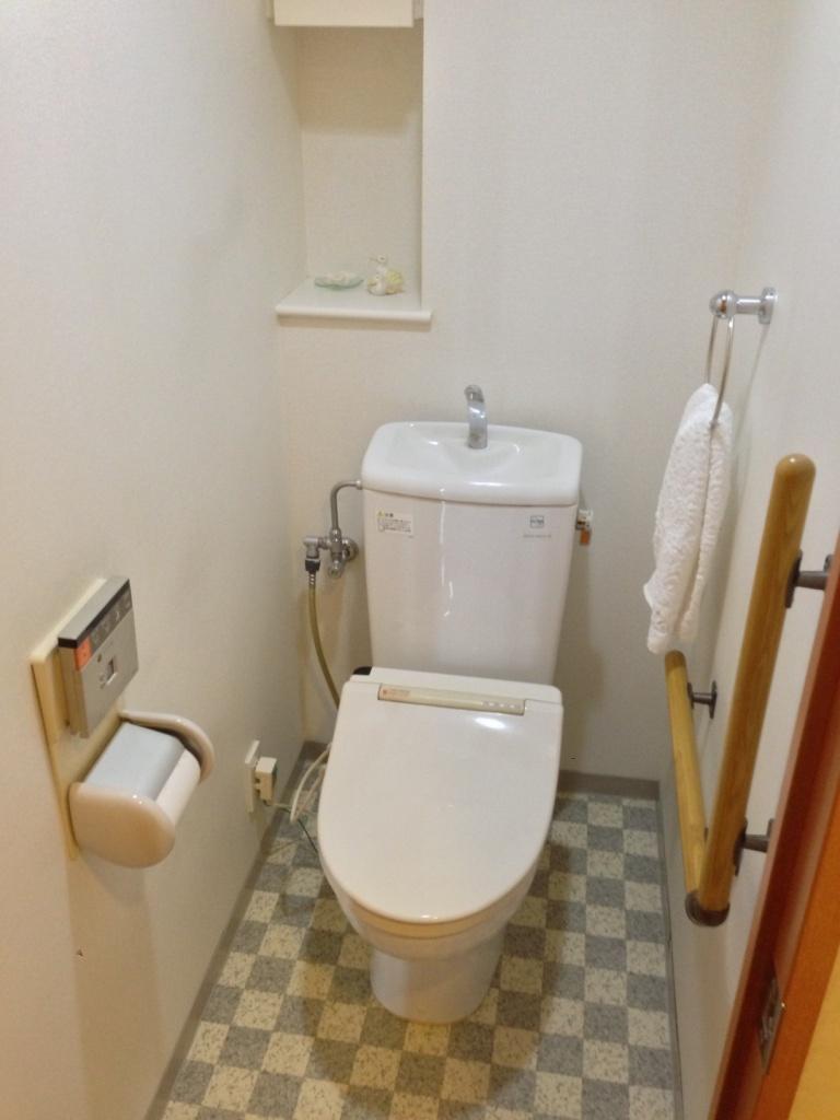 Toilet. Local (August 2013) Shooting