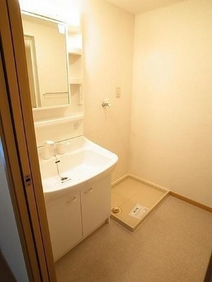 Washroom. Shampoo dresser