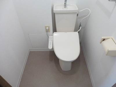 Toilet. Bidet function with toilet