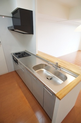 Kitchen. System kitchen (three-necked)