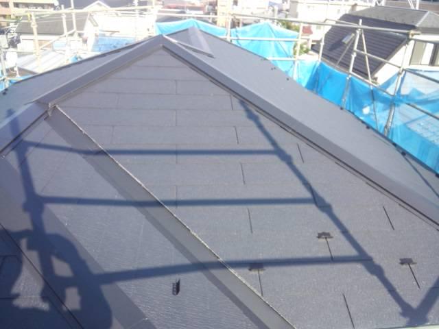 Local appearance photo. Roof public site (November 2013) Shooting