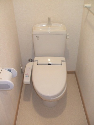 Toilet. With cleaning toilet seat