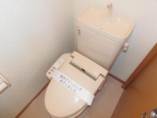 Toilet. Bidet with toilet! 