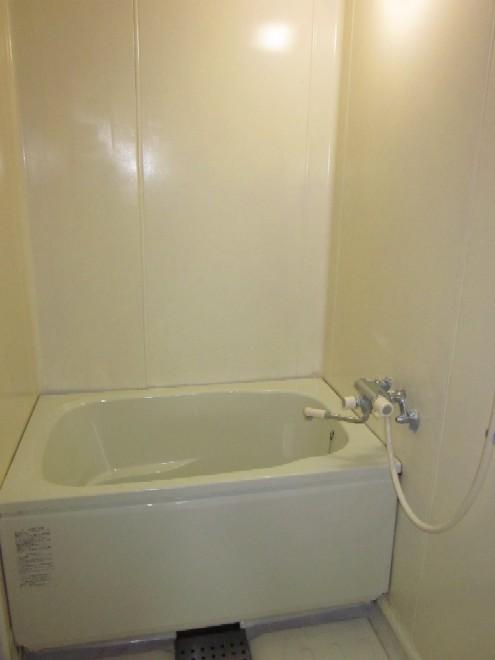 Bathroom. Bright shades of bathroom