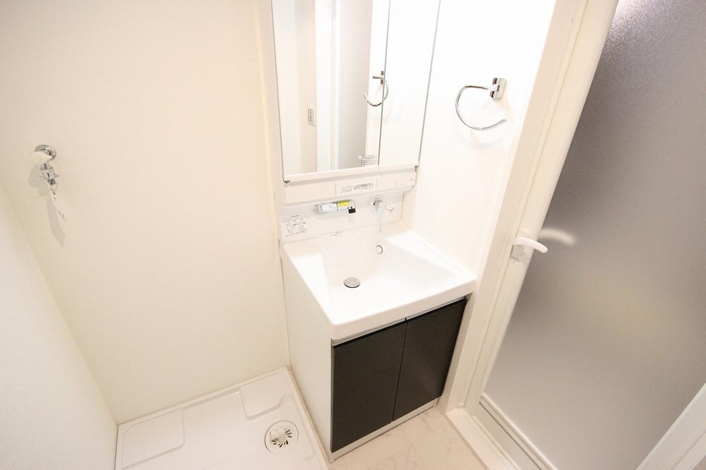 Wash basin, toilet. Vanity newly established