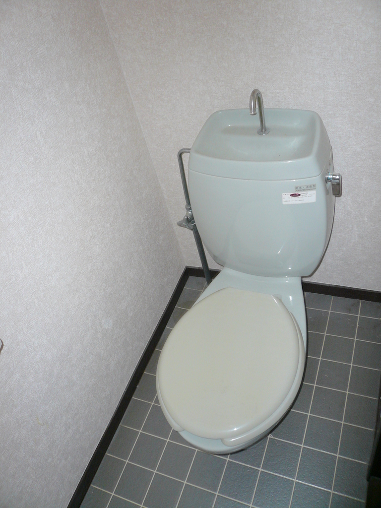 Toilet. It is a refreshing color of toilet!