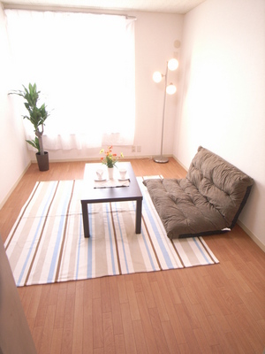 Living and room. Model room specification.  Furniture is not attached.