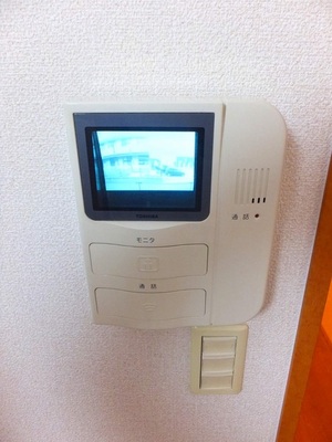 Security. TV monitor with intercom