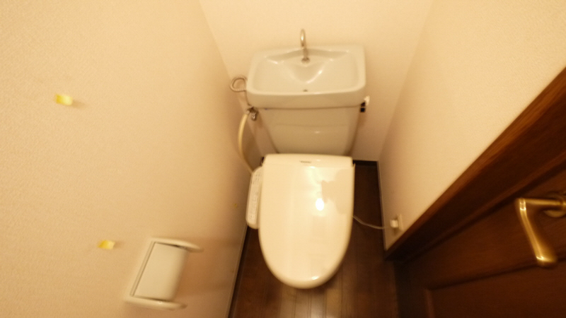 Toilet. With bidet-friendly equipment