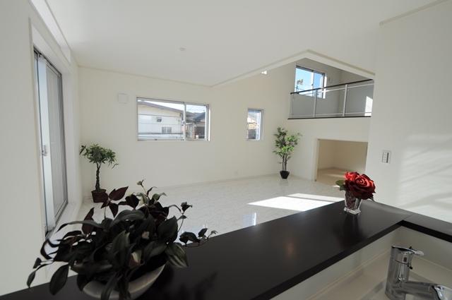 Same specifications photos (living). A skip floor living