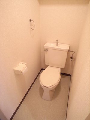 Toilet. Toilet is also beautiful to cleaning being completed!