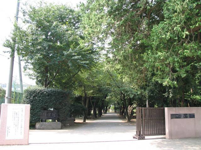 Junior high school. 1126m to Funabashi City Gotaki junior high school