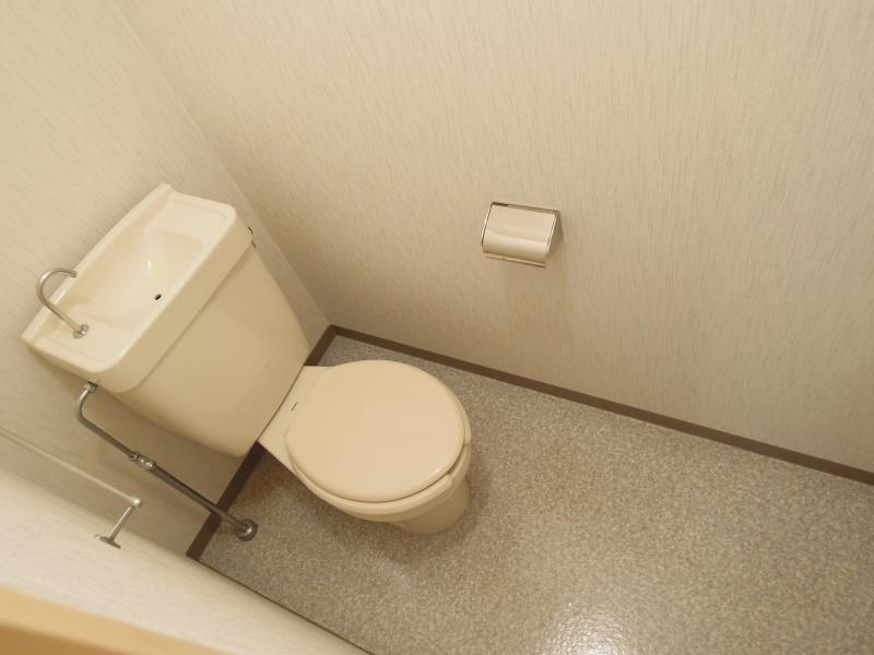 Toilet. Toilets are spacious in a different