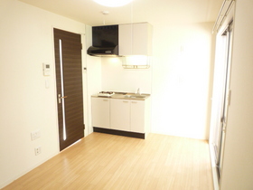 Living and room. The kitchen is also bright!