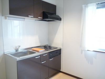 Kitchen. Convenient two-burner stove with system kitchen to self-catering.