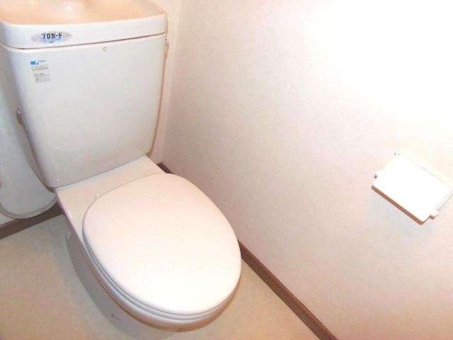 Toilet. It is a Western-style toilet.