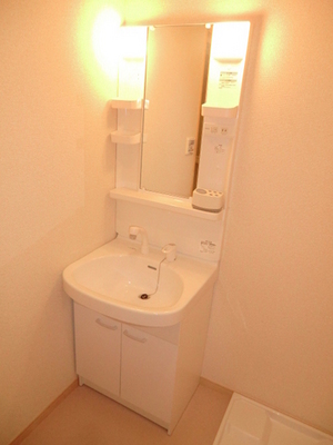 Washroom. Bathroom Vanity