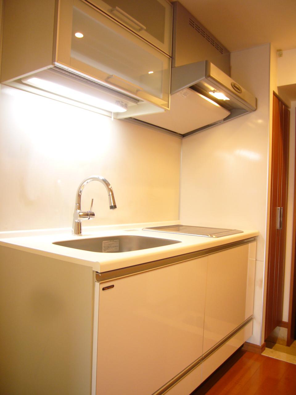 Kitchen. Indoor (11 May 2013) Shooting