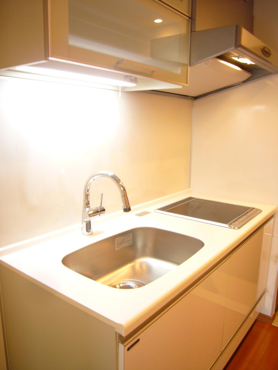 Kitchen. Indoor (11 May 2013) Shooting