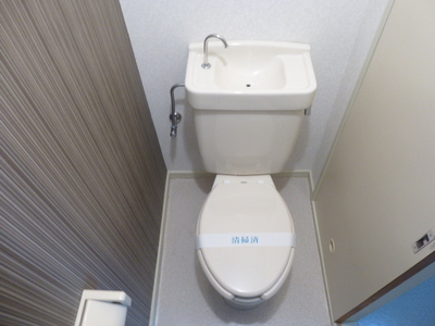 Toilet. Here also stuck accent Cross