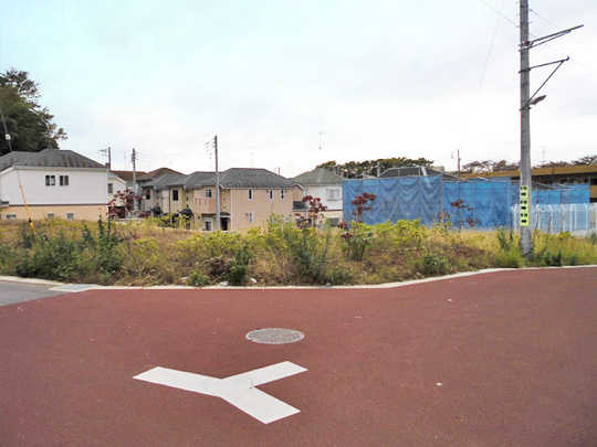 Local land photo