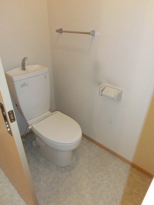 Toilet. Western-style toilet