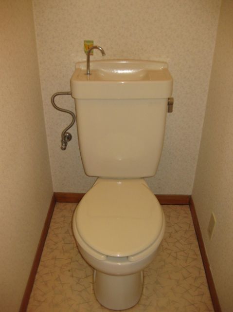 Toilet. Reference photograph