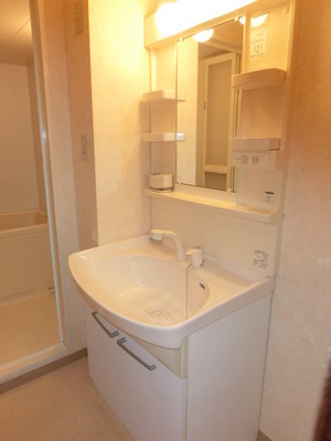 Washroom. With shampoo dresser