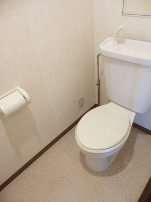 Toilet. It is a toilet with a shelf