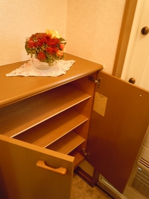 Entrance. Convenient shoebox and put a little thing such as a key and accessories