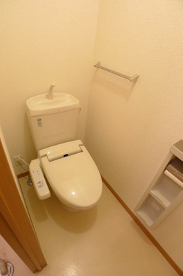 Toilet. Warm water washing toilet seat