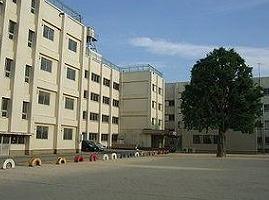 Primary school. Tsukada elementary school